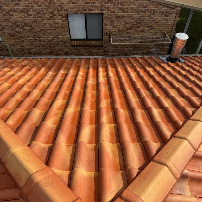 Roof Cleaning service in Bunbury
