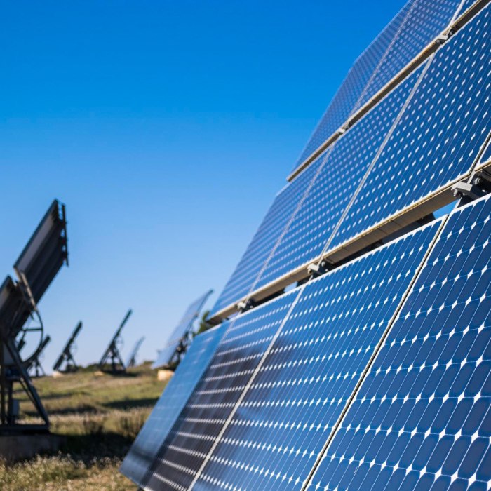 commercial solar panel cleaning service Dunsborough