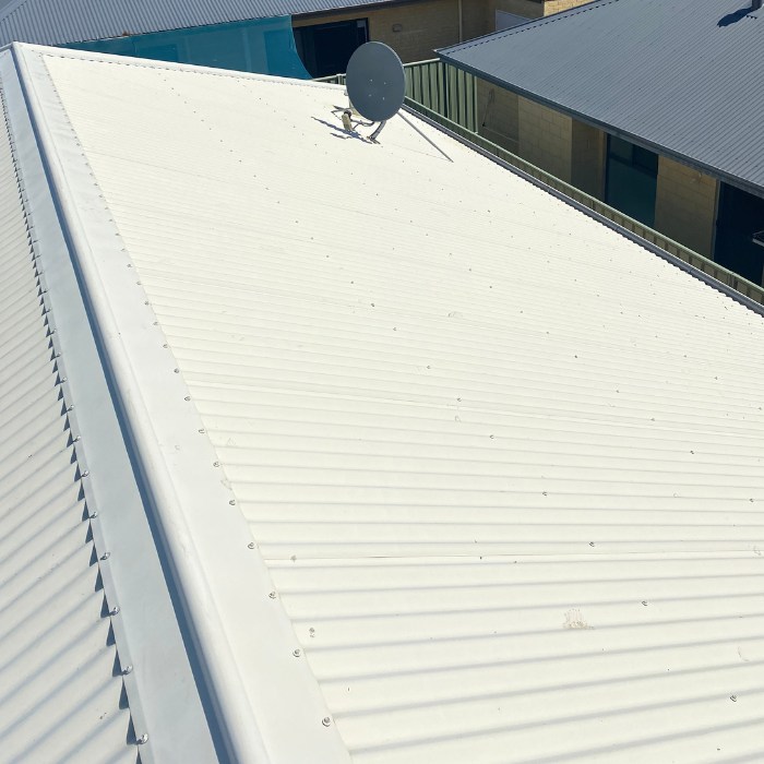 expert roof cleaners in Bunbury