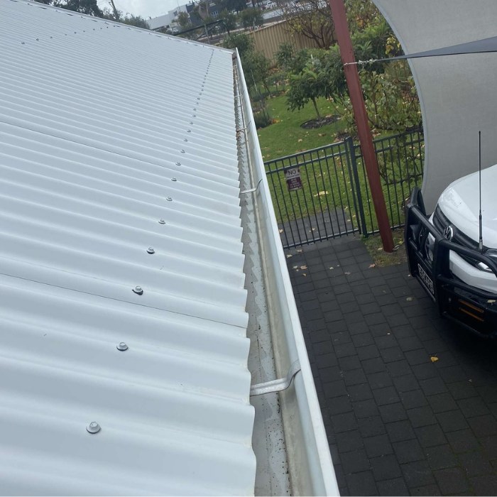 residential gutter cleaning Bunbury