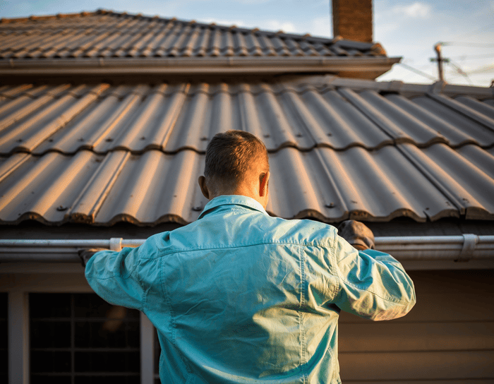 blocked gutter cleaning Donnybrook