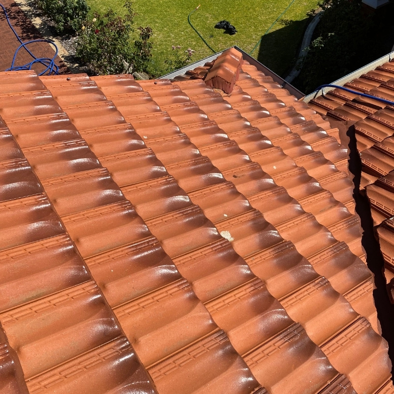 Bunbury Roof Cleaning Experts