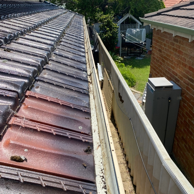 Donnybrook gutter Cleaning Experts