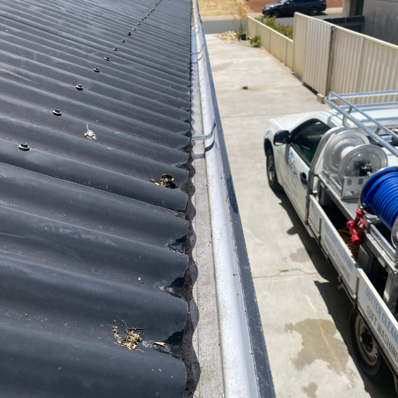 local gutter cleaning Donnybrook